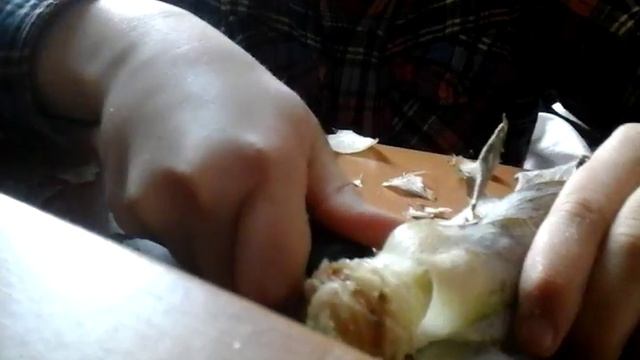 как вирастить и размножить ананас смотреть онлайн