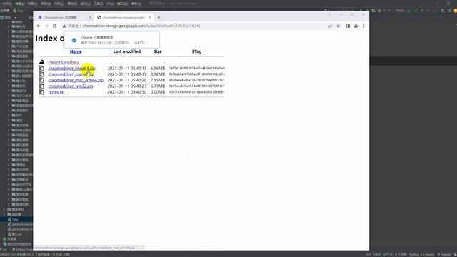 Python selenium安装 环境配置教学 смотреть онлайн