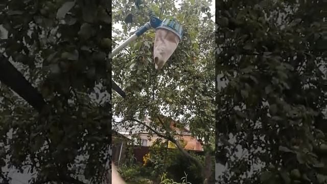 Видео для отзыва на Айрек: Плодосборник с поворотным механизмом RACO 42350-53/368C смотреть онлайн