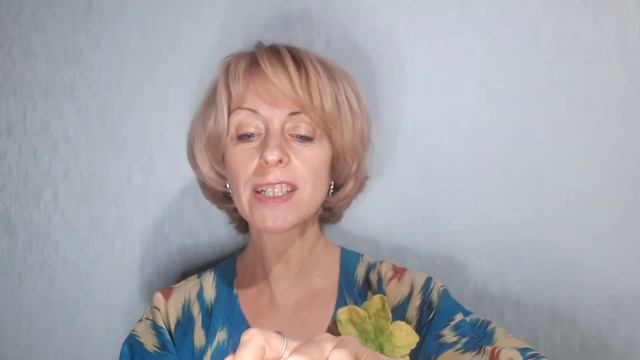 Шарм коллекшен смотреть онлайн