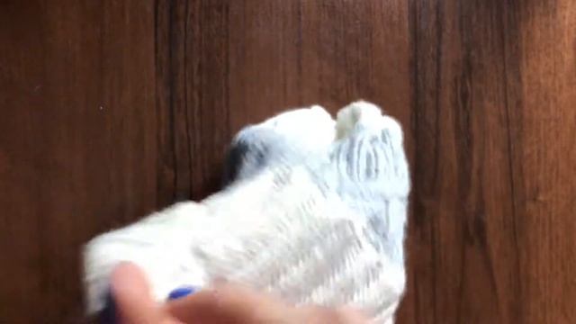 Детская шапочка с отворотом и помпоном. Alize Happy Baby Soft смотреть онлайн