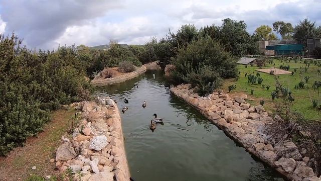 Pafos Zoo, Paphos, Cyprus смотреть онлайн