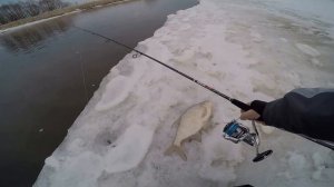 Narval Kick Jig 82H первые впечатления на воде и сравнение с MC Soul Stick.