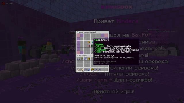 НОВЫЙ БОКС ПВП СЕРВЕР BIRUSBOX STUNBOX