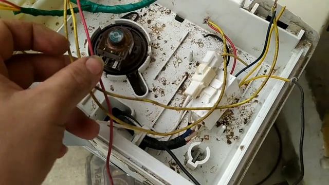 Cómo Pasar Una Lavadora Digital A Manual Cualquier Marca No Dudes En Hacerlo