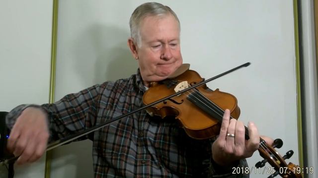 Gliga Maestro 1 Helicore Strings Forked Deer