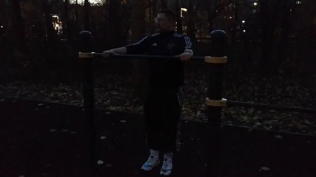 Вечерняя Тренировка.Эспандер+Австралийские подтягивания(2020). смотреть онлайн