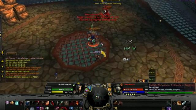 Wow Arena rogue 85/Hunter 85 -2 смотреть онлайн