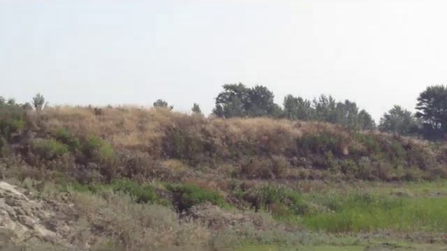 Cт. Багаевская. тВОРим, что хотим! никто нам не указ! Часть 2. смотреть онлайн