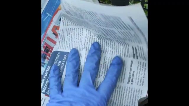 Подготавливаем лук и чеснок на хранение после сушки. смотреть онлайн