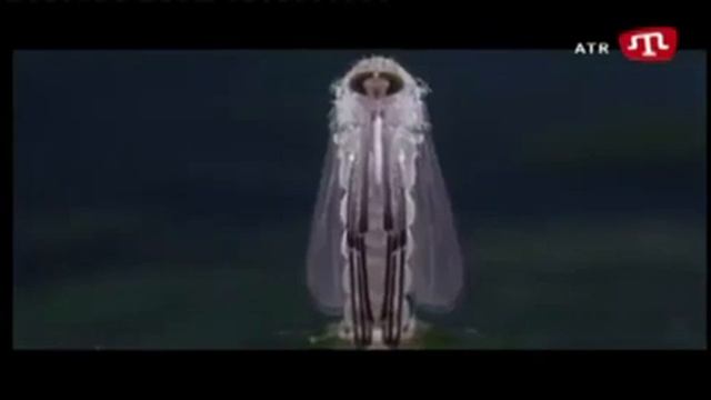 Мебель для спальни: инструкции по выбору и уходу