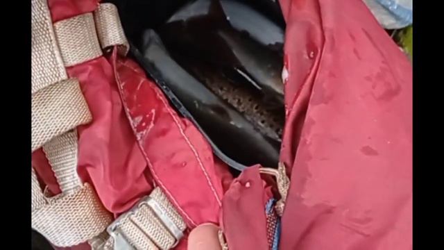 рыбалка на хребте малый Хинган 23 год смотреть онлайн