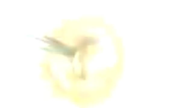 Как сделать самое вкусное какао? смотреть онлайн