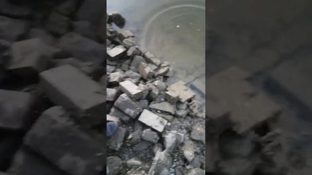 полезли на спущеную канаву!?!!! *что мы только не нашли* смотреть онлайн