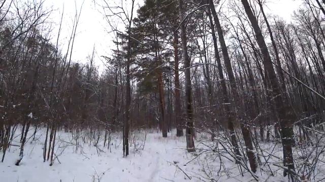 Белым снегом ❄️ смотреть онлайн