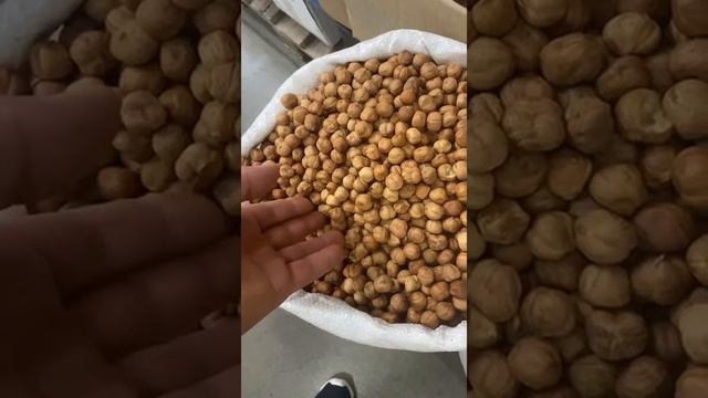 Фундук оптом в Москве (Азербайджан/Грузия) смотреть онлайн