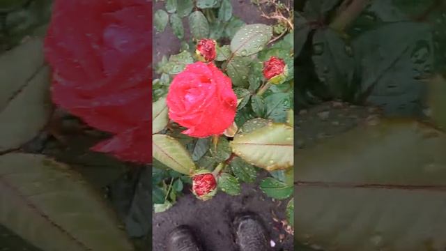 Писля злывы смотреть онлайн