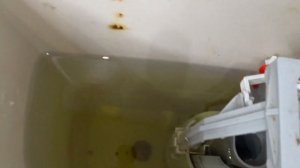 Как почистить БАЧОК унитаза? РЕЗУЛЬТАТ УДИВИТ?Самый ЛУЧШИЙ способ❤️?