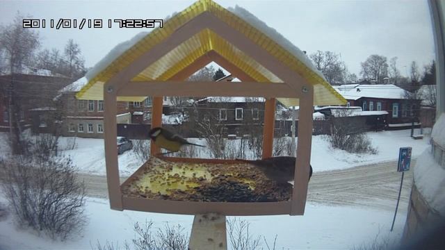 Синички и воробей. смотреть онлайн