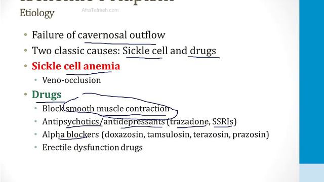 Reproductive - 6. Male Disorders - 1.Penile Disorders Atf