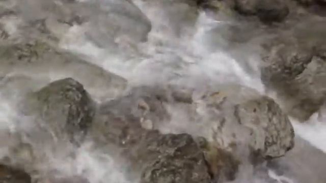 Окаменелости на осыпях Дерекойки смотреть онлайн