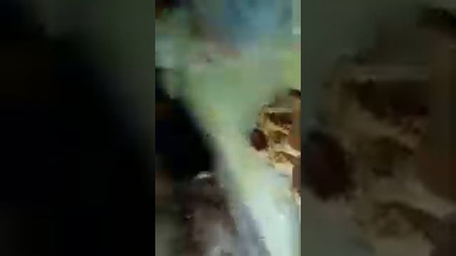 Оладьи с начинкой смотреть онлайн