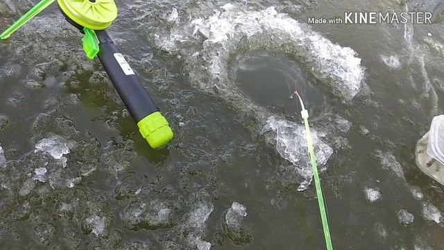 Зимняя рыбалка 2019. Рыбка начала брать со льда. смотреть онлайн