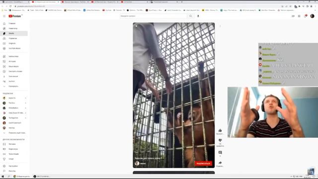 Папич про силу обезьян (monkeys / apes) смотреть онлайн