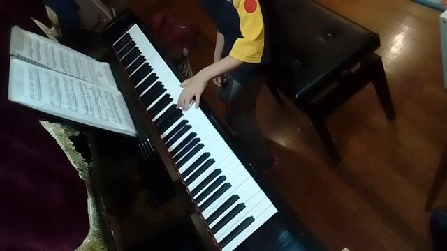 Beethoven op 49 No 1 left hand смотреть онлайн