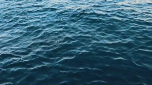 Клевало так, что руки устали! Ловля пеламиды в Черном море. Рыбалка из котлов.