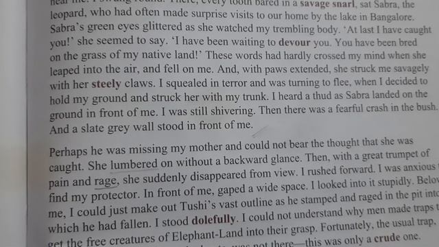 class 5 , English text , ch 10 , Mora , part 2 смотреть онлайн