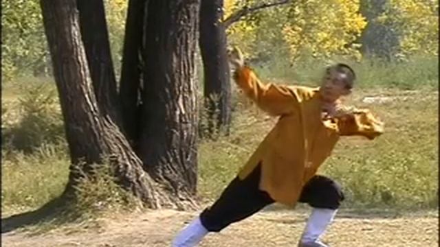 Шаолиньский Цигун Методическое Пособие смотреть онлайн