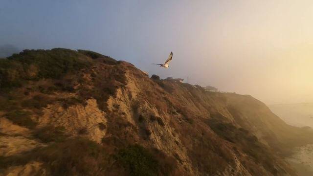 DJI OSMO POCKET 3 | The Ultimate Pocket Vlog Setup!? Phase AutoFocus & 10-bit DLOG-M!