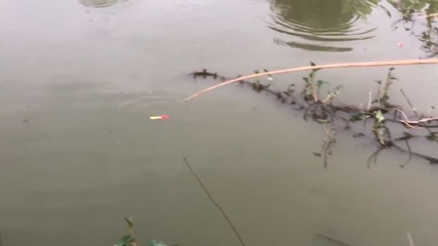 Beautiful Girls FISHING with EXOTIC Sea Worms for GIANT Fish смотреть онлайн