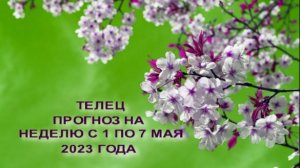 ТЕЛЕЦ ГОРОСКОП НА НЕДЕЛЮ С 1 ПО 7 МАЯ 2023 ГОДА