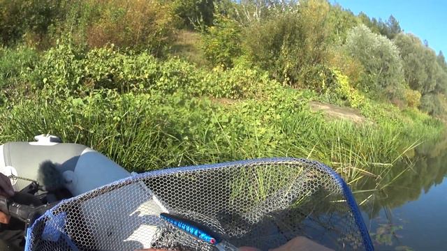 "Нижний Карабут, Судак и Щука". 17.09.2022, река Дон. смотреть онлайн