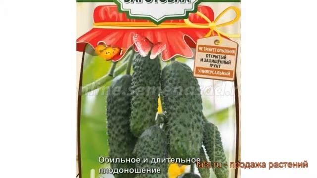 Огурец обыкновенный Малыши-карандаши F1 ? обзор: как сажать, семена огурца Малыши-карандаши F1 смотреть онлайн