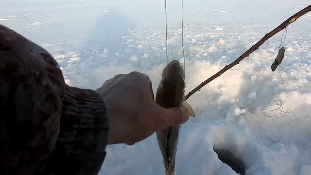 Взял реванш по щукам. С ночевкой на дальнее озеро. смотреть онлайн