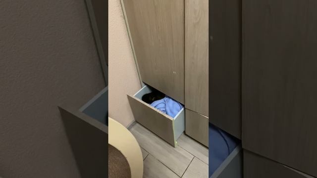 Мамина броня? смотреть онлайн