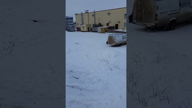 Морковь обжарить до сих пор смотреть онлайн