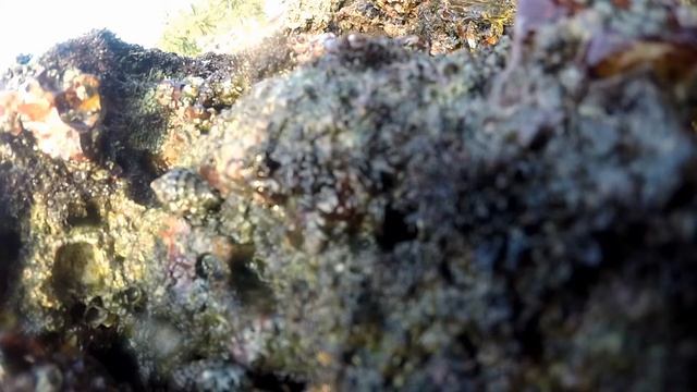 Индия ГОА Богмало смотреть онлайн