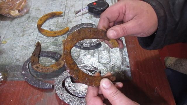 Нашёл артефакт. Лошадь Пржевальского была объезжена в городе Бийске Алтайского края смотреть онлайн