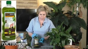 ПЕРЕСАЖИВАЕМ И ЛЕЧИМ КОМНАТНЫЕ ЦВЕТЫ! МОИ СЕКРЕТЫ!