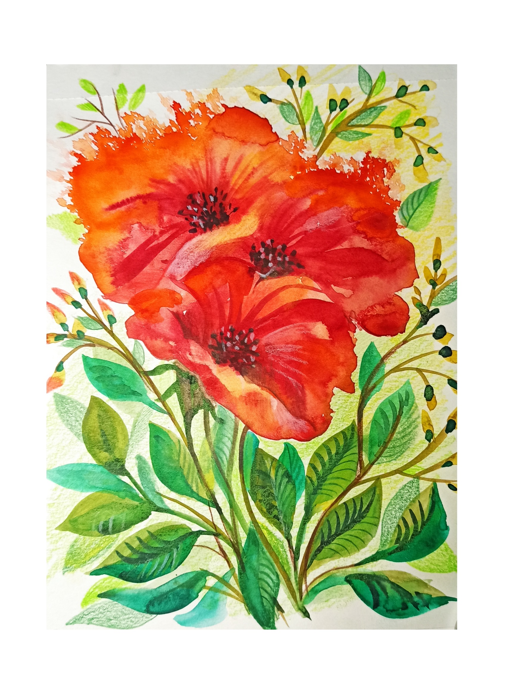 Красный цветок, как нарисовать акварельными красками.. смотреть онлайн