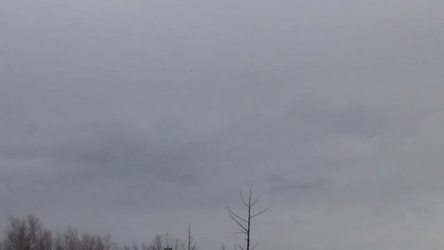 Видео охота на тетерева смотреть онлайн