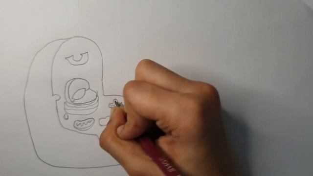 Beautiful sketch Human cell easy drawing by sitanshu @sitanshusworld смотреть онлайн