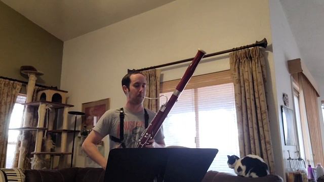 Etienne Ozi Bassoon Etude No. 12 from 42 Caprices смотреть онлайн