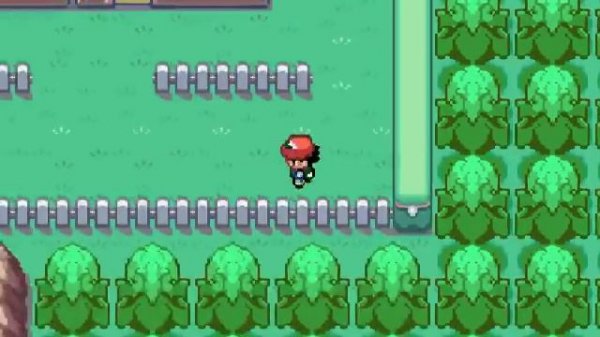 Pokemon Ash Gray Episode 18 [Fuchsia City]