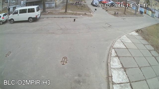 Гибридная видеокамера Bielion BLC-O2MP20IR-H3 смотреть онлайн