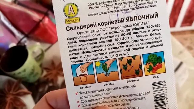 Сельдерей Корневой "ЯБЛОЧНЫЙ". Как Растёт и Развивается Рассада. 29 марта 2021г. смотреть онлайн